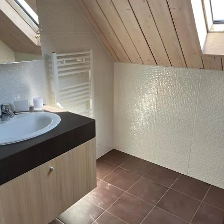 Les Damayots Refuge Familial 10 Mn Du Pal 3* Montbeugny