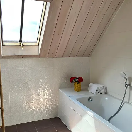 Les Damayots Refuge Familial 10 Mn Du Pal Bed & Breakfast Montbeugny