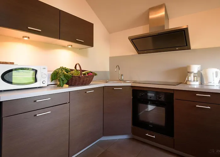 Les Damayots Refuge Familial 10 Mn Du Pal Montbeugny