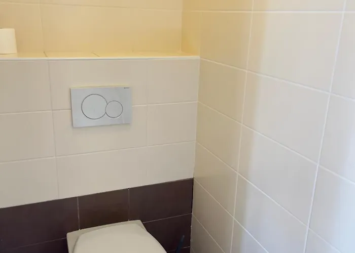 Hameau Des Damayots 3* Montbeugny